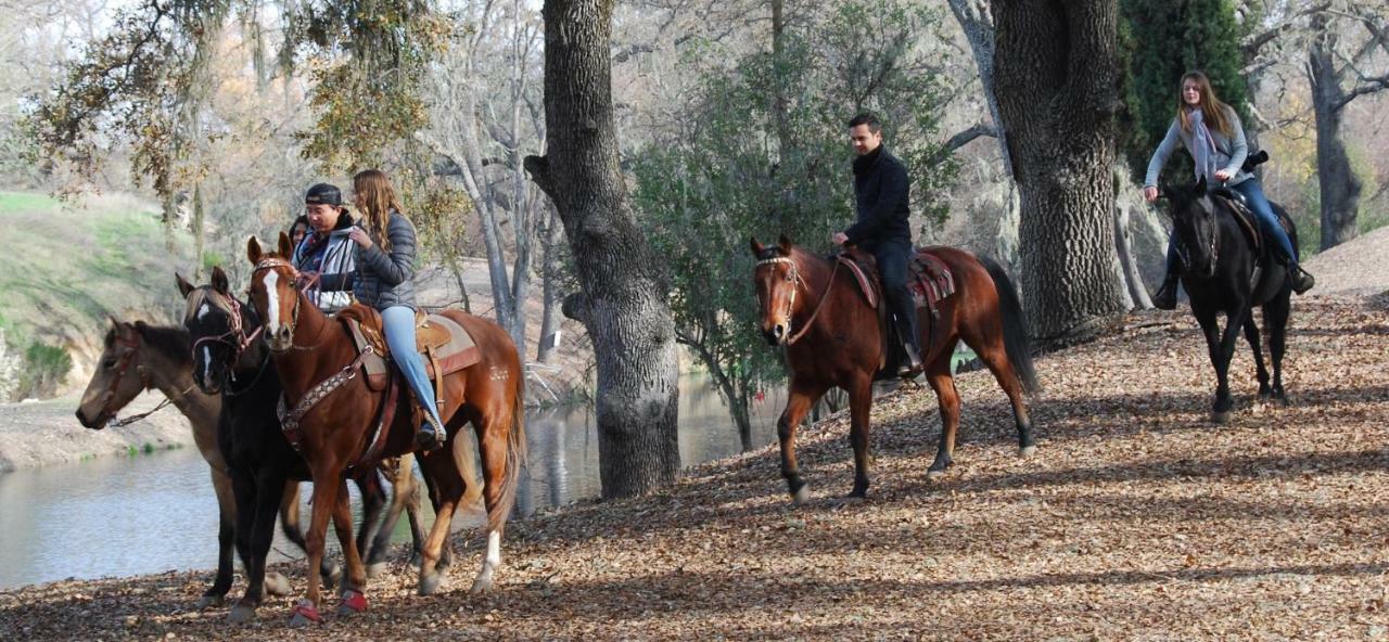 Z Ranch Villa Templeton Dış mekan fotoğraf