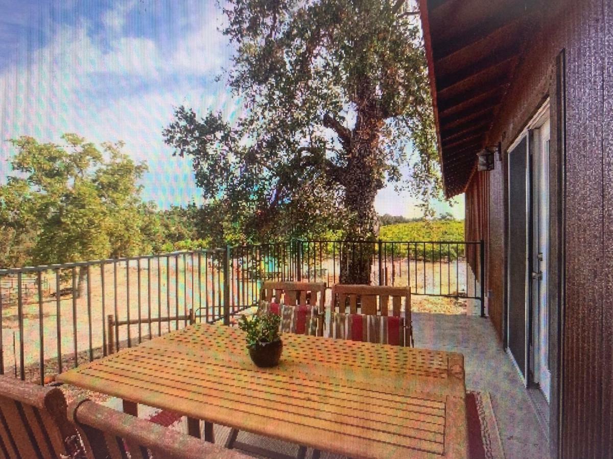 Z Ranch Villa Templeton Dış mekan fotoğraf